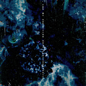 日本日本乱码伦视频在线观看
