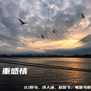 日本日本乱码伦视频在线观看
