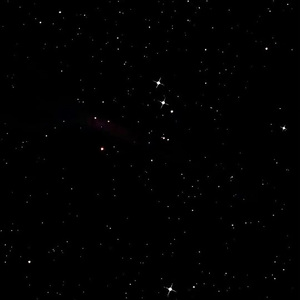 日本日本乱码伦视频在线观看
