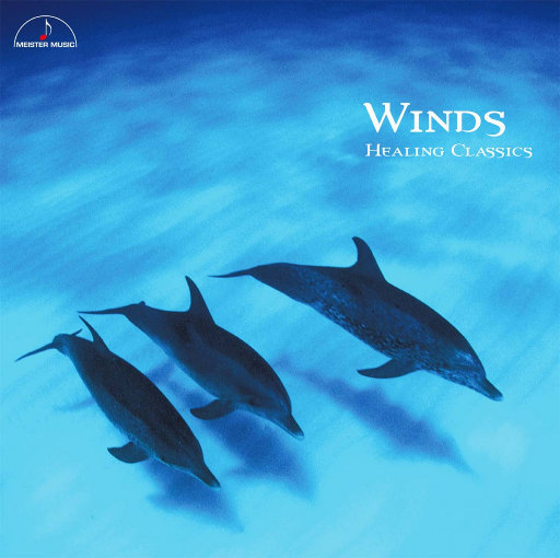 日本日本乱码伦视频在线观看
